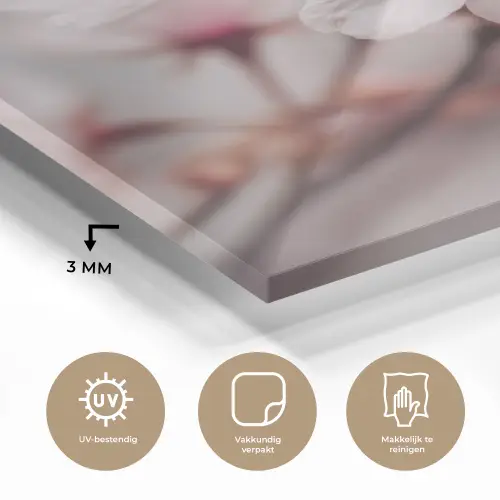 Bloesems - Meeldraden - Geel - Wazig plexiglas 5mm klein -sfeer2