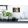 Leeuw - Leeuwenkop - Wilde dieren - Bloemen Muursticker klein -keuken