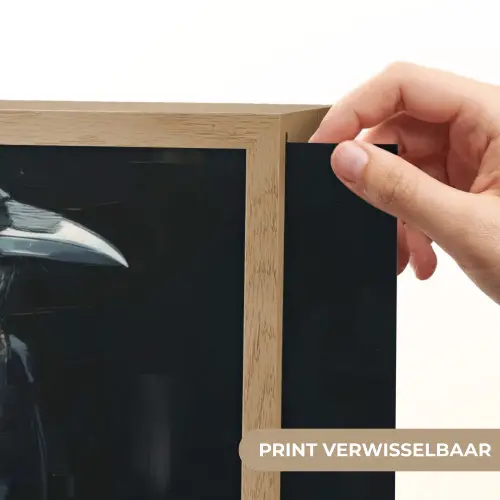 Raaf - Vogels - Zwart Light Box met batterij (Wandlamp) middel -USP_websiteprintNL
