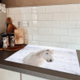 Paard - Kop - Winter - Dieren - Wit Inductie beschermer vinyl 3mm klein -sfeer3