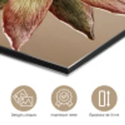 Droogbloem - Protea - Vintage - Beige - Rustiek aluminium wit klein -closeup_FR