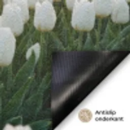 Tulpen - Landschap - Wit Deurmat klein -antislip_NL