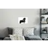 Fries - Hengst - Modern Muursticker klein -slaapkamer