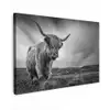 Koeien - Schotse hooglander - Natuur - Dieren - Zwart wit canvas 2cm klein -z3d