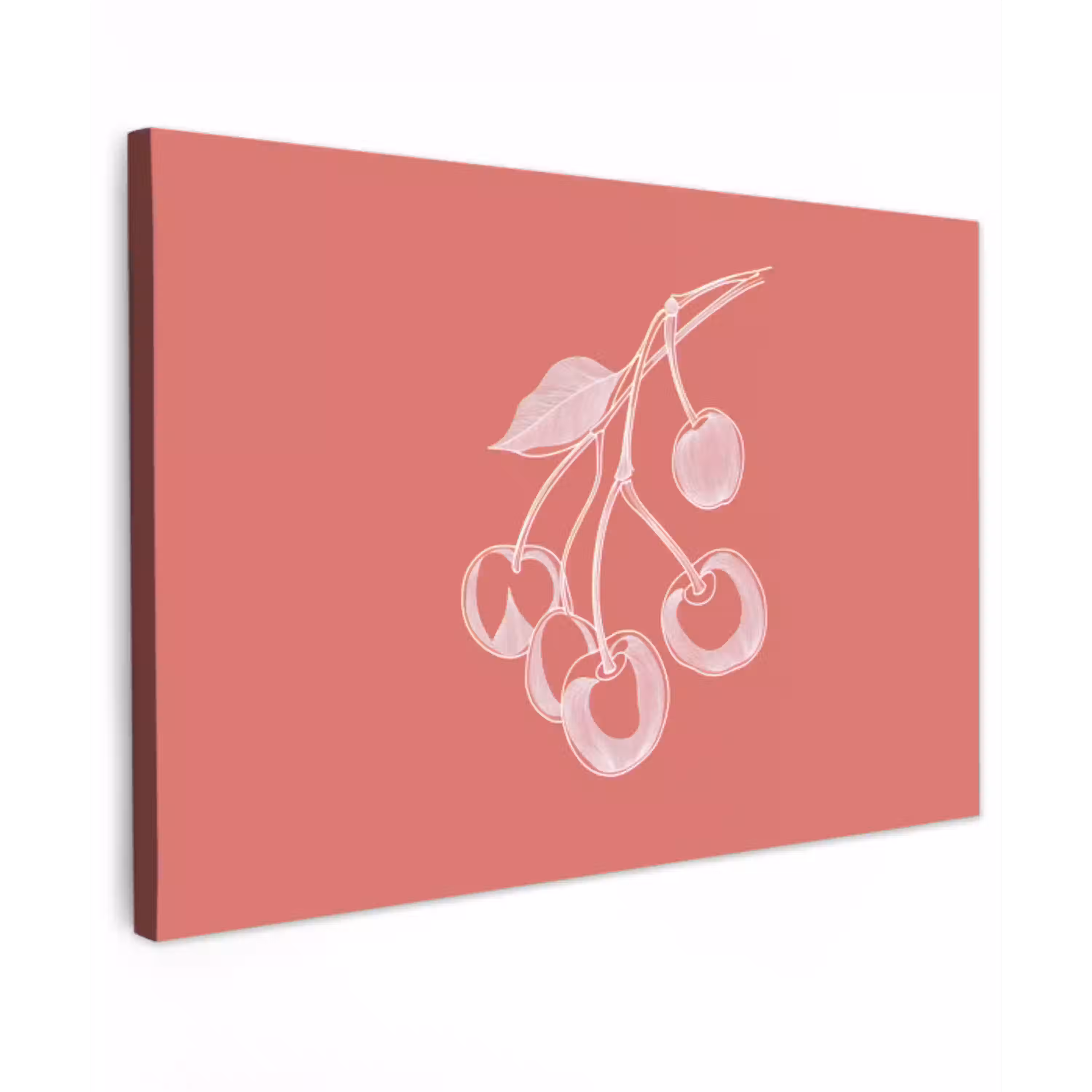 Lijnillustratie - Kersen - Tak - Wit Tuinposter op houten frame 2 cm dik klein -3d