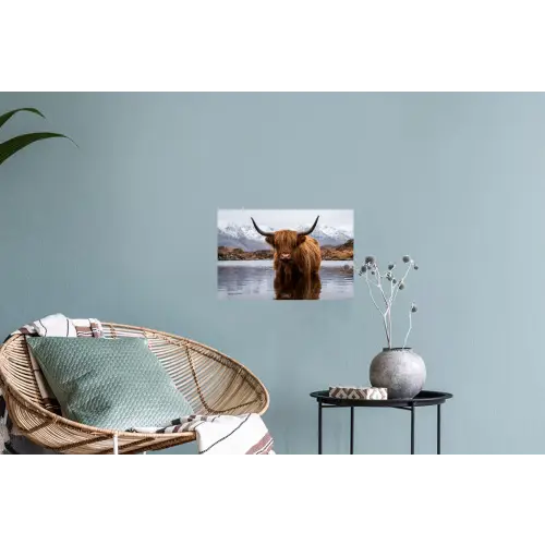 Schotse hooglander - Bruin - Water Muursticker klein -plant
