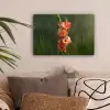 Bloem - Gladiolen - Zalmroze canvas 2cm klein -sfeer1