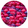Frambozen - Bessen - Roze - Blauw Wandcirkel plexiglas klein 852 -3d