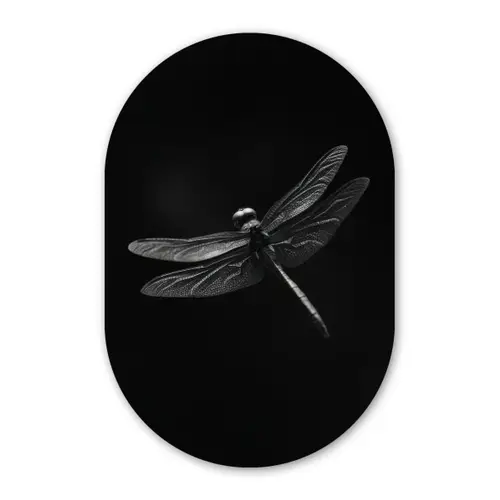 Libelle - Dieren - Zwart - Insect Wandcirkel Ovaal Glas middel -3d