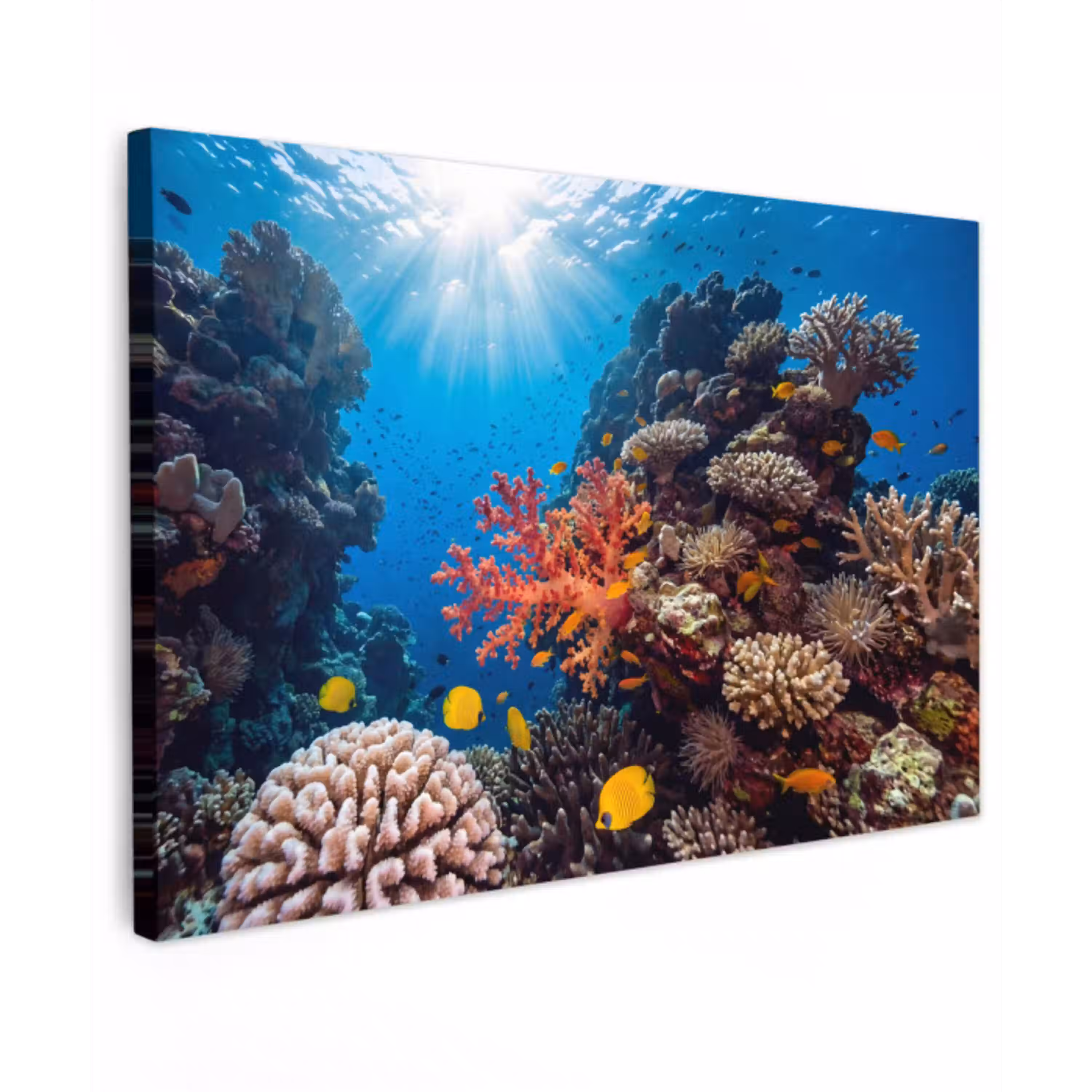 Zee - Koraalrif - Natuur - Levendig - Blauw canvas 2cm klein -z3d