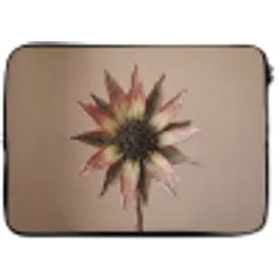 Droogbloem - Protea - Vintage - Beige - Rustiek laptophoes neopreen klein -zkaufland3dotto