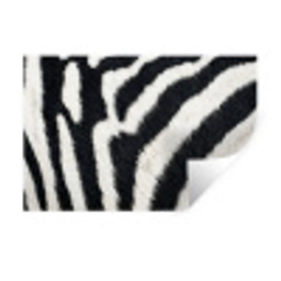 Zebra - Vacht - Klassiek - Zwart - Wit Muursticker klein -3d