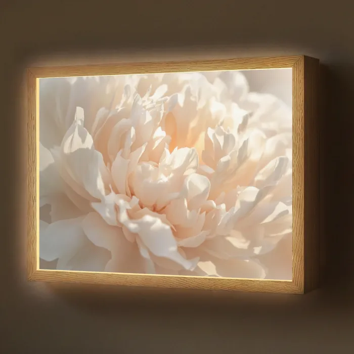 Close up - Pioenroos - Lichtroze Light Box met batterij (Wandlamp) middel -z3d_website