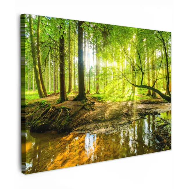 Canvas schilderij - Bos - Landschap - Water - Bomen - Zon - Groen - Natuur