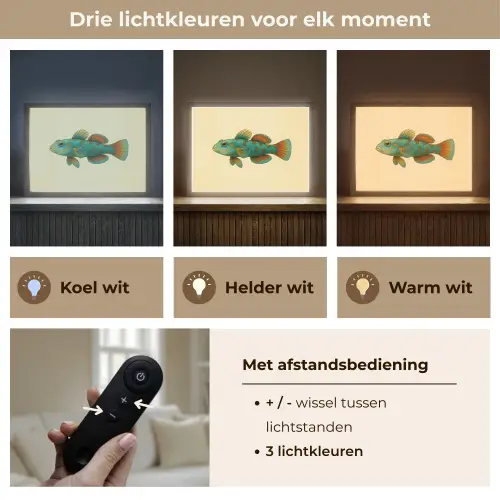 Vis - Blauw - Stippen - Schubben Light Box met batterij (Wandlamp) middel -USP_lichtkleurNL