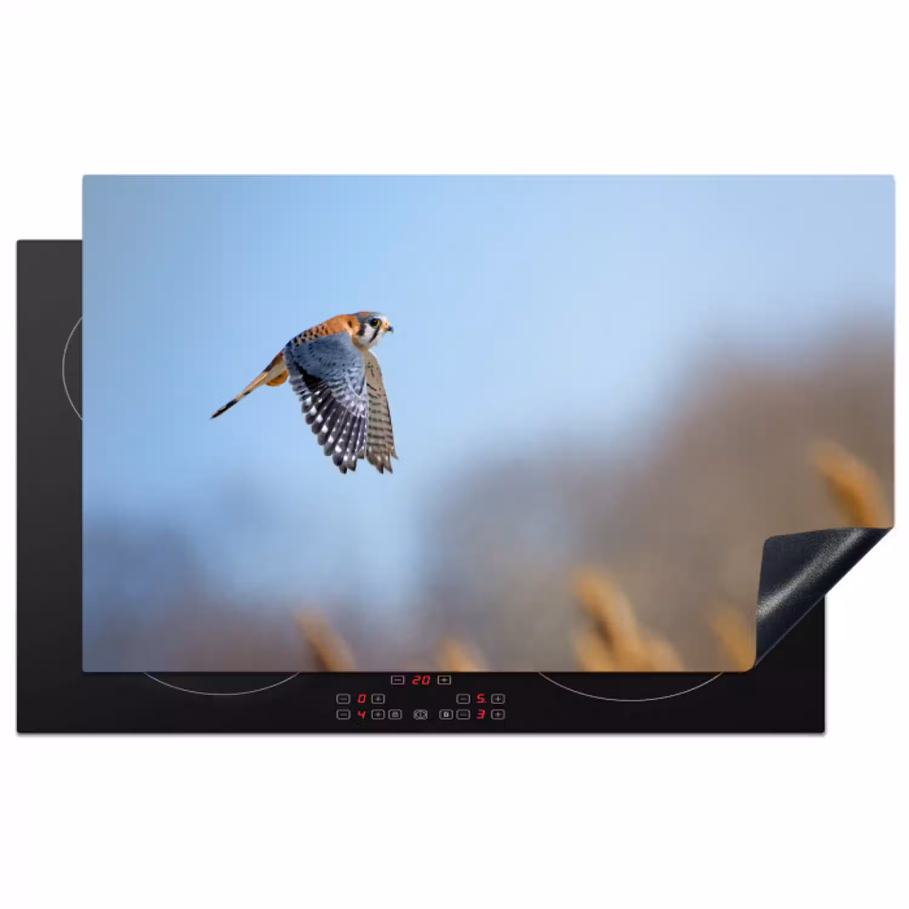 Kleurrijke valk aan het vliegen Inductie beschermer vinyl 3mm klein -3d