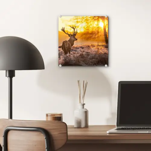 Hert - Dieren - Zonsondergang - Winter - Heide - Natuur plexiglas 5mm klein -sfeer6