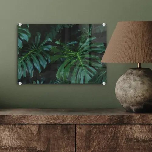 Monstera - Bladeren - Tropisch - Jungle plexiglas 5mm klein -sfeer3