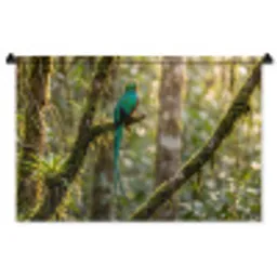 Quetzal - Jungle - Natuur - Groen Wandkleed katoen middel -zz3d