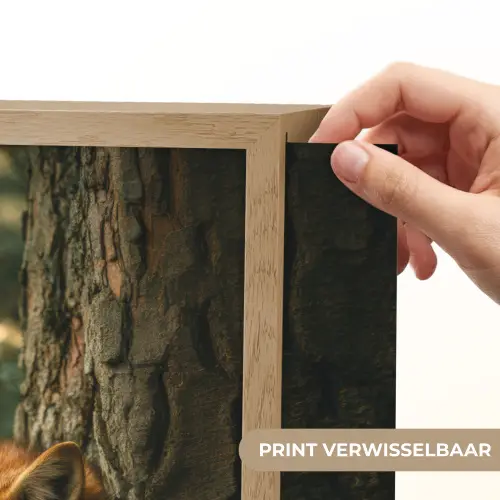 Vos - Bos - Slapen Light Box met batterij (Wandlamp) middel -USP_websiteprintNL