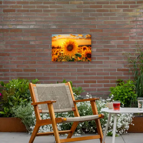Zonnebloem in de avondzon Tuinposter op houten frame 2 cm dik klein -sfeer3
