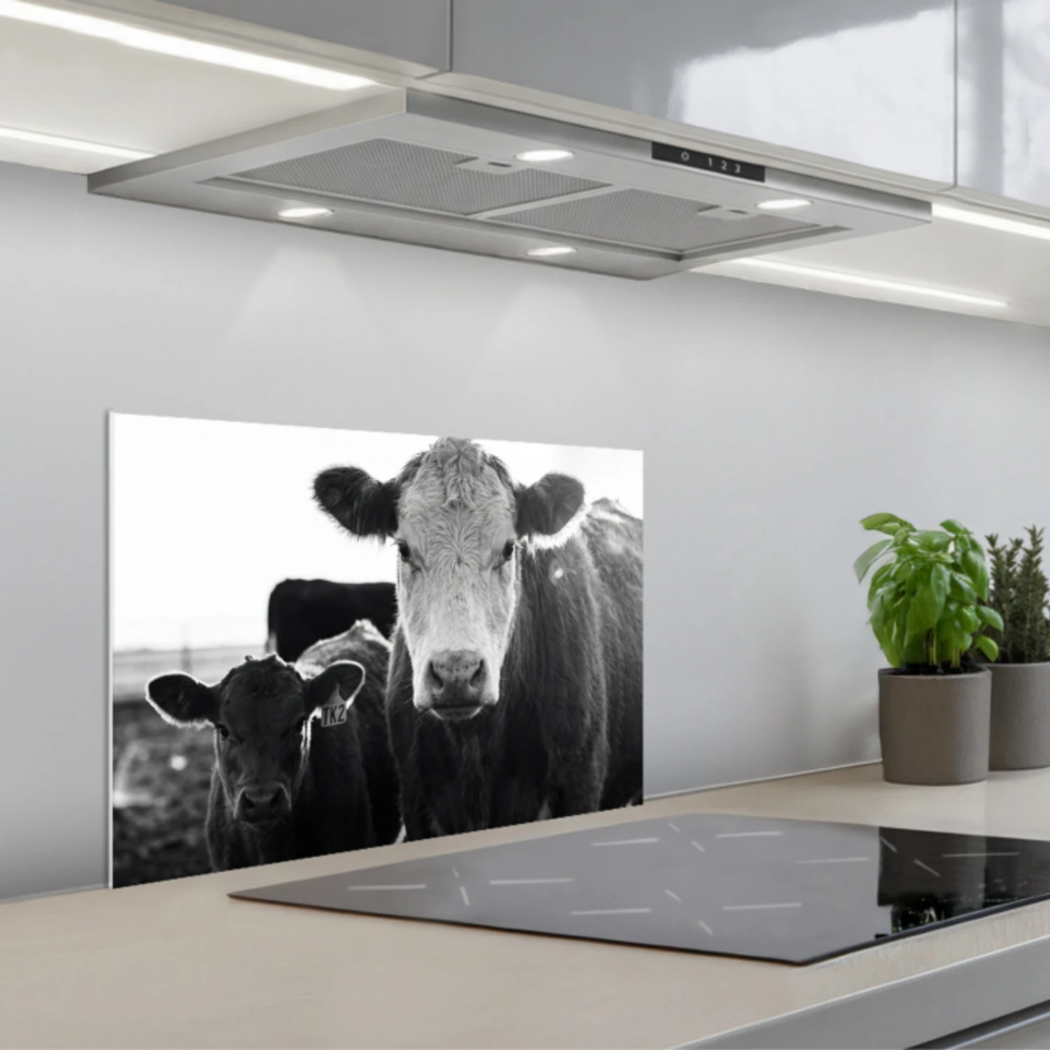 Koeien - Zwart - Wit keuken achterwand spatscherm klein -3d_schuin