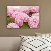 Struik - Bloemen - Roze - Hortensia canvas 2cm klein -sfeer3