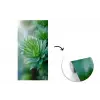 Blad - Plant - Groen - Textuur fotobehang vinyl groot -3d