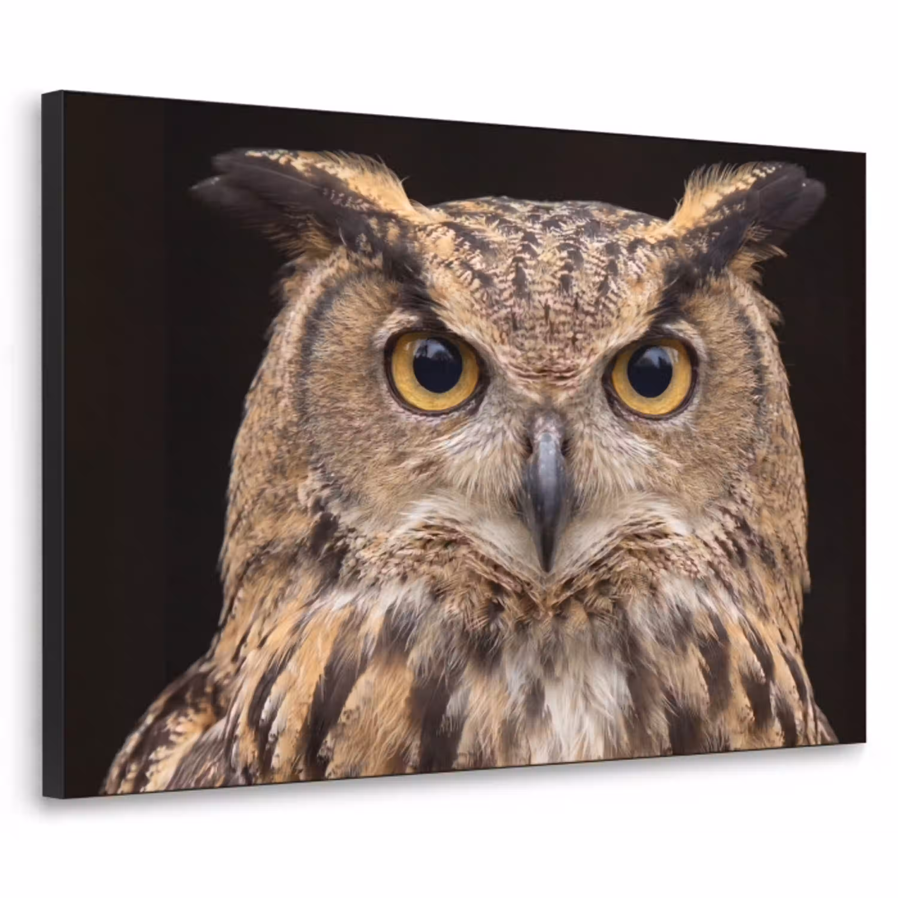 Oehoe - Uil - Portret - Bruin Textielframe zwart klein -3d
