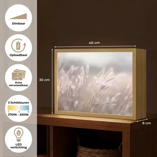 Graspluimen - Wind - Beige - Mistig Light Box met batterij (Wandlamp) middel -USP_websiteoverzichtNL