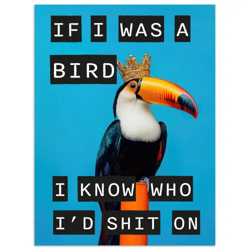 Vogel - Toekan - Blauw - Quotes poster papier klein -3d