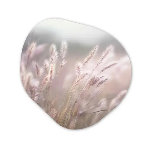 Graspluimen - Wind - Beige - Mistig Wandcirkel Organisch Plexiglas middel -3d