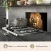 Leeuw - Dieren - Zwart - Licht - Bruin - Portret keuken achterwand spatscherm klein -usp_NL