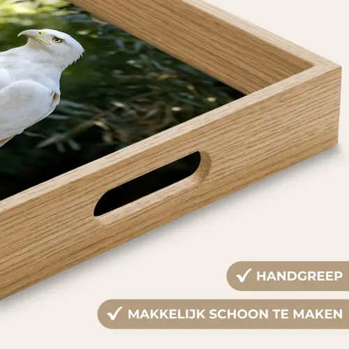 Arend - Hout - Wit - Planten Dienblad Rechthoek middel -USP_HandgreepNL