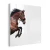 Paard - Springen - Modern plexiglas 5mm klein -z3d