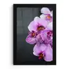 Orchidee - Bloemen - Roze - Flora fotolijst zwart zonder passe partout klein -3d