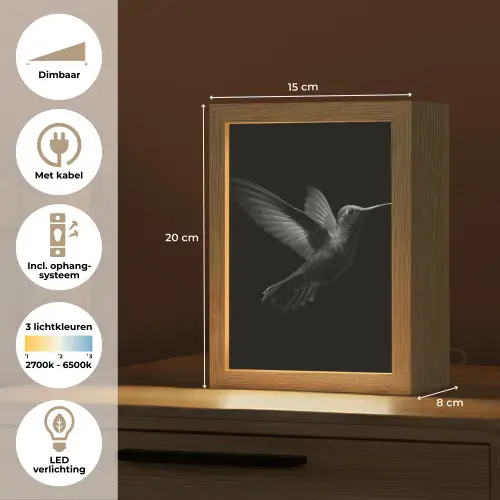Kolibrie - Zwart - Dieren Light Box met kabel (Tafellamp) klein -USP_NL