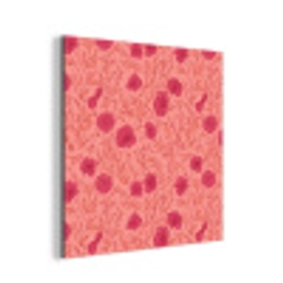 Weidebloemen - Romantisch - Roze aluminium wit klein 46 -3d