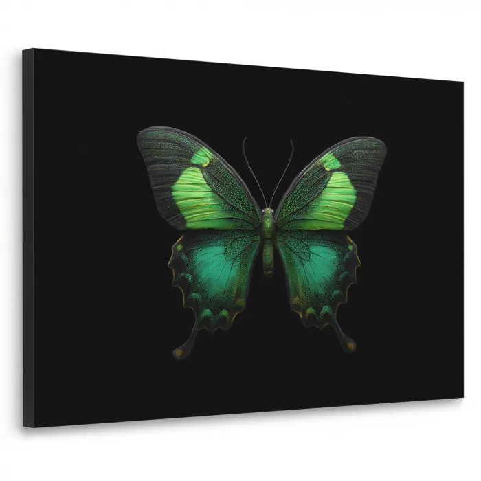 Vlinder - Groen - Opvallend Textielframe zwart klein -3d