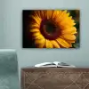 Geel - Zonnebloem - Zomers canvas 2cm klein -sfeer4
