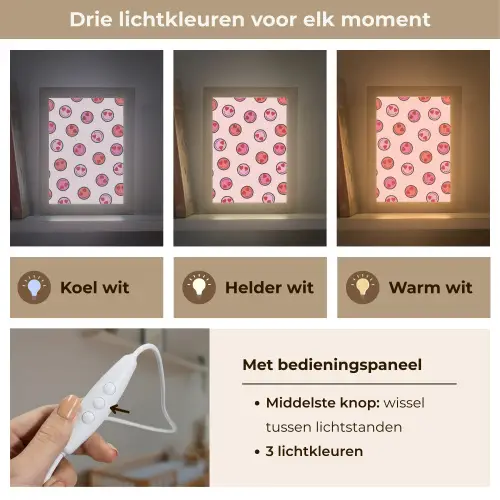 Smileys - Hartjes - Roze Light Box met kabel klein -USP_lichtkleurNL