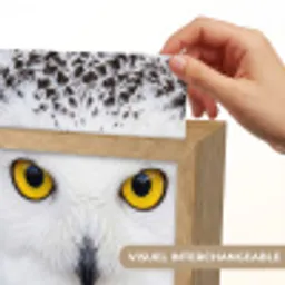 Sneeuwuil - Portret - Geel Light Box met kabel (Kinderlampje) klein -USP_websiteprintFR
