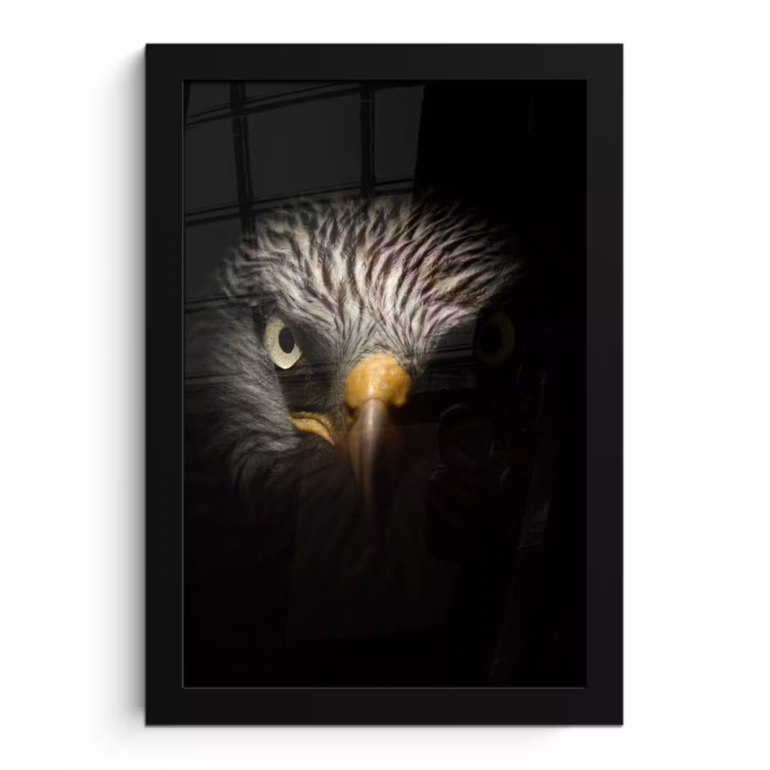 Vogel - Adelaar - Roofvogels - Oog - Snavel - Licht fotolijst zwart zonder passe partout klein -3d
