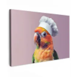 Papegaai - Koksmuts - Nieuwsgierig - Vogel Tuinposter op houten frame 2 cm dik klein -3d