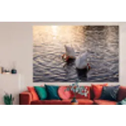 Eenden - Water - Natuur forex 5mm xxl -woonkamer