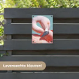 Close-up flamingo tuinposter los doek klein -sfeer3