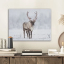 Rendier - Gewei - Toendra - Sneeuw - Wild PET vilt klein -sfeer1