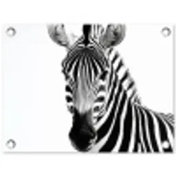 Zebra - Close-up - Zwart - Strepen tuinposter los doek klein -3d