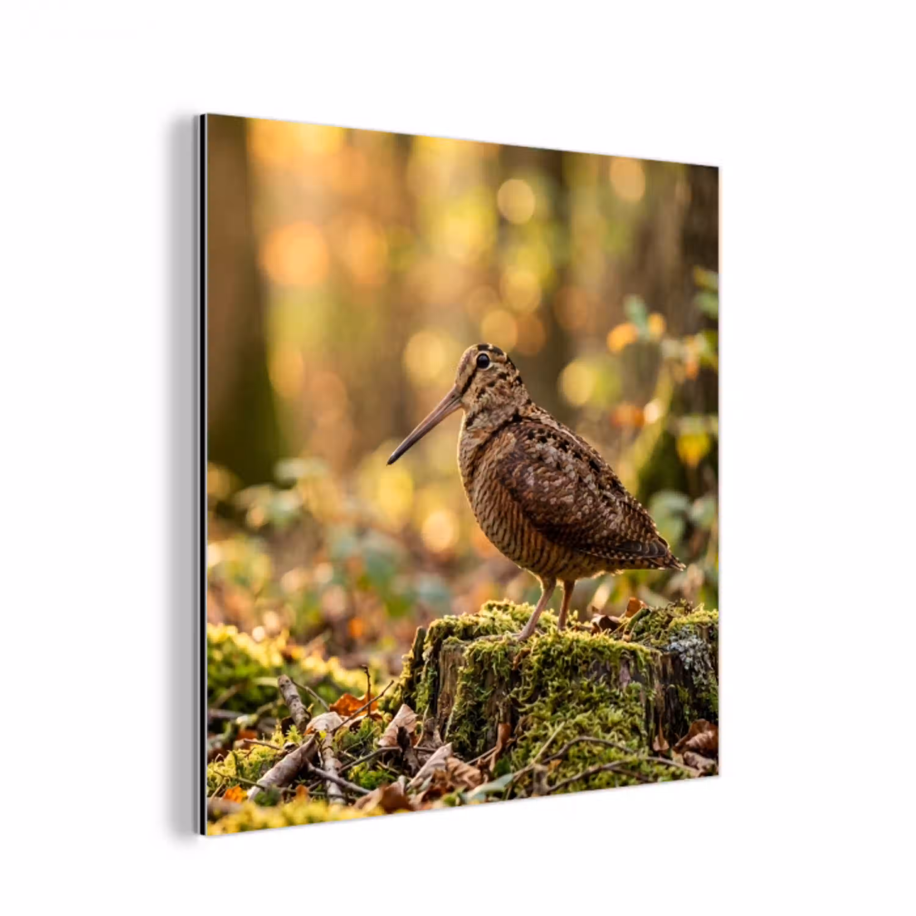 Houtsnip - Bos - Bladeren - Herfst - Gecamoufleerd aluminium wit klein -3d