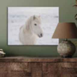 Paard - Kop - Winter - Dieren - Wit PET vilt klein -sfeer2